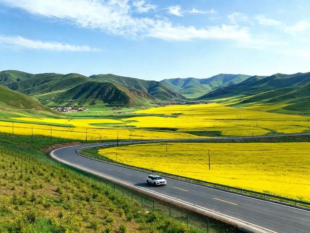 新疆疆荣旅行社游戏截图