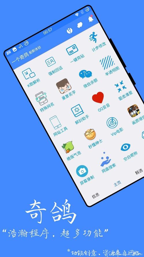 一只奇鸽船官网下载