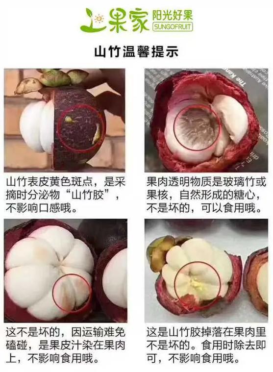 山竹平台下载
