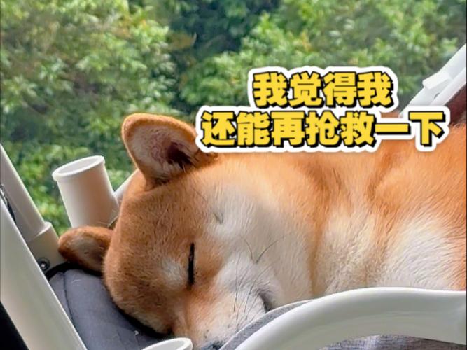 我能再抢救一下吗