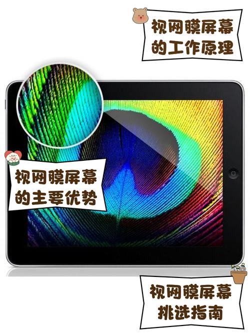 钉钉可以屏幕共享吗