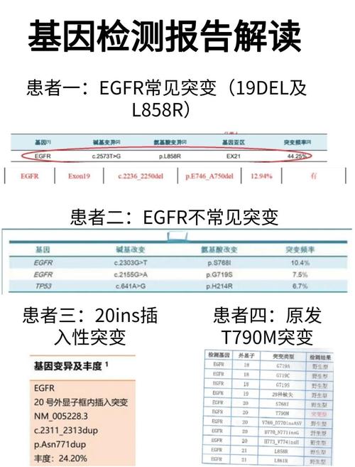 egfrpacc是什么意思
