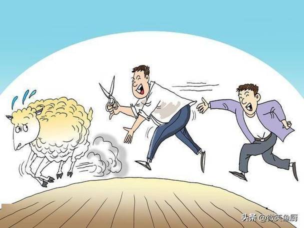 网络拔羊毛