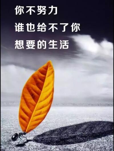 你不努力,谁也给不了你想要的生活