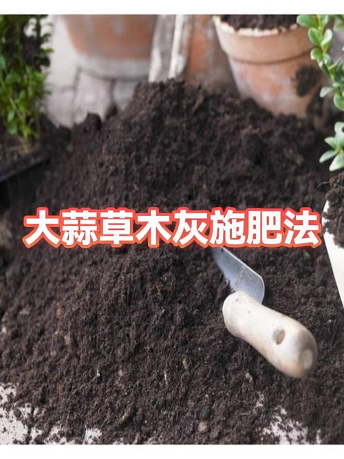 大蒜撒草木灰正确方法缩略图