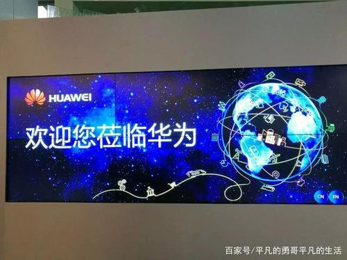 带华为的成语