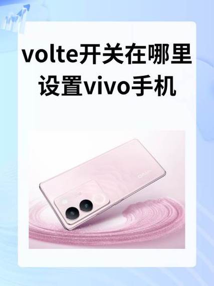 vivo手机volte开关在哪里设置缩略图