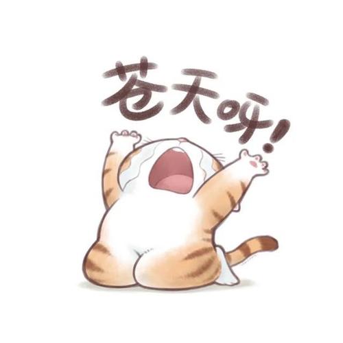 把照片变成表情包的软件缩略图