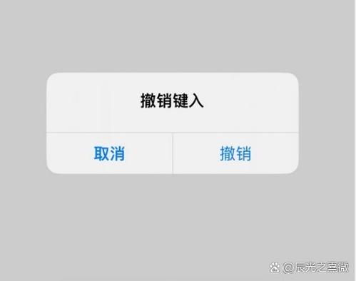 苹果备忘录可以撤销吗