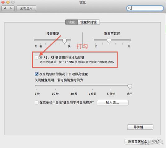 ipad的系统偏好设置在哪里