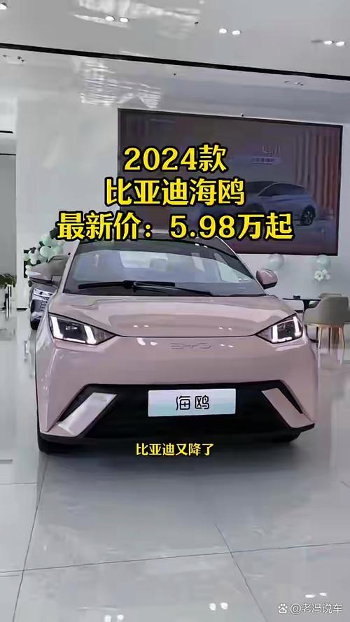 比亚迪电车海鸥价格缩略图