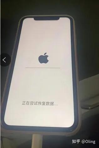 苹果手机一直显示一个白苹果