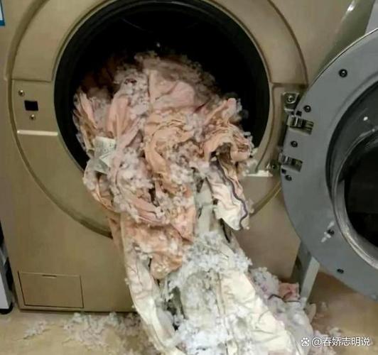 洗衣机甩干羽绒服实验人员还原爆炸缩略图