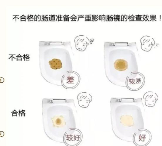 做肠镜喝药多久能排干净