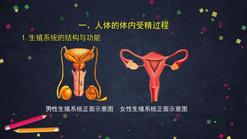 共同发育不用登录版