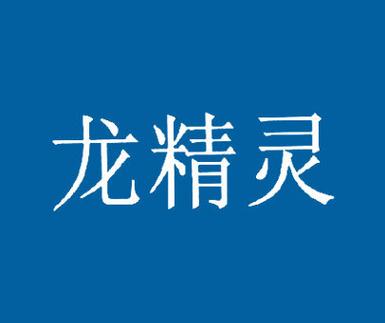 龙精灵的激活码是多少
