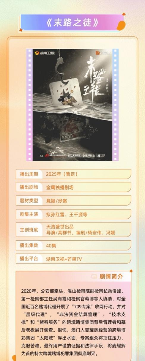 悬疑剧末路之徒主演是谁