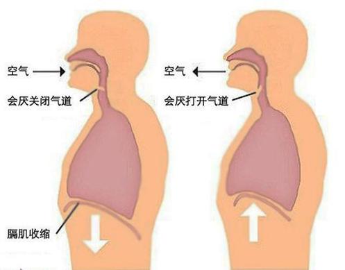 为什么老打嗝