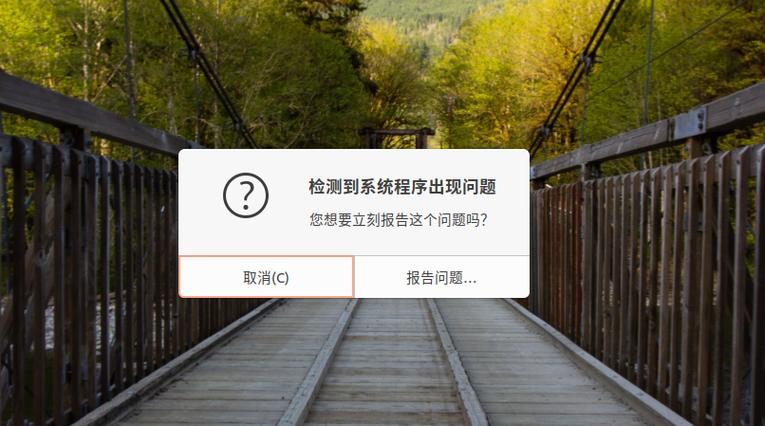 ubuntu检测到系统出现问题