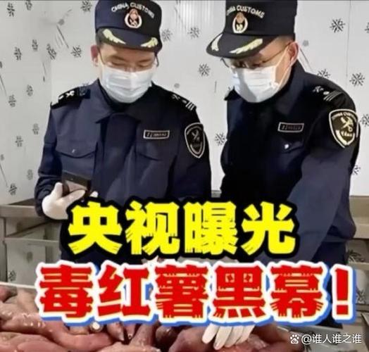谁是削皮贼