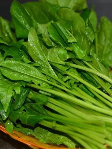 黑话菠菜是什么意思
