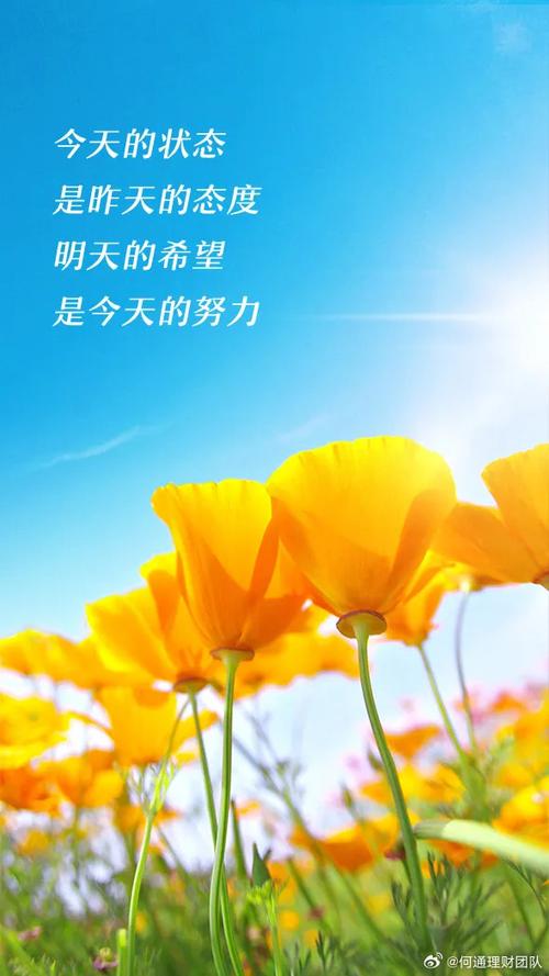 励志的句子经典语录100字