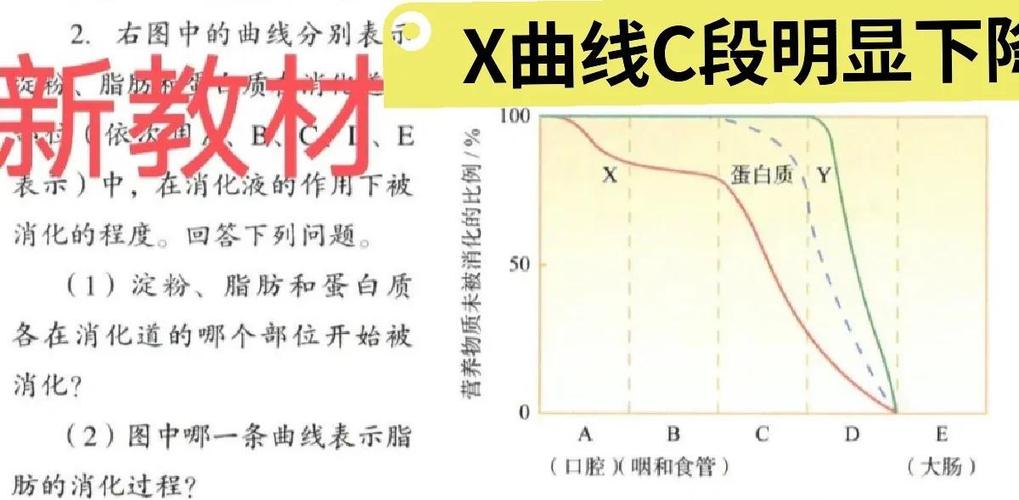 ph是哪里图标