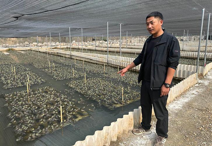 现在养牛蛙还能赚钱吗