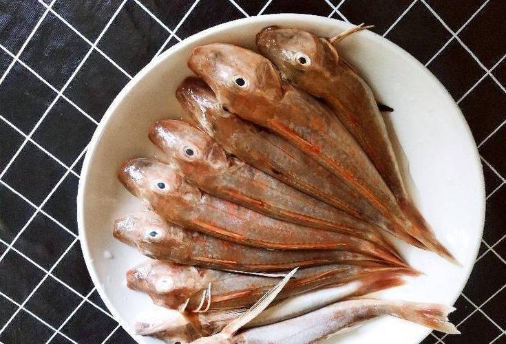 红头鱼有鱼鳞吗游戏截图