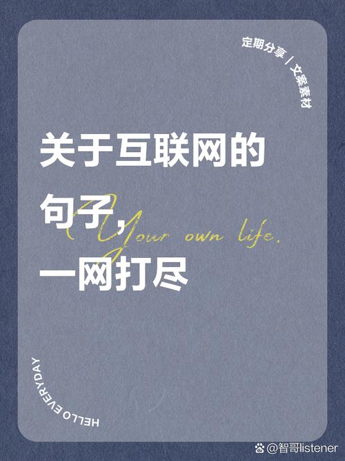 hgb网络用语