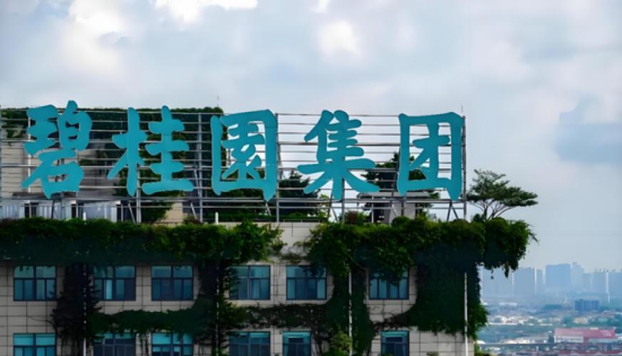 碧桂园对员工的要求