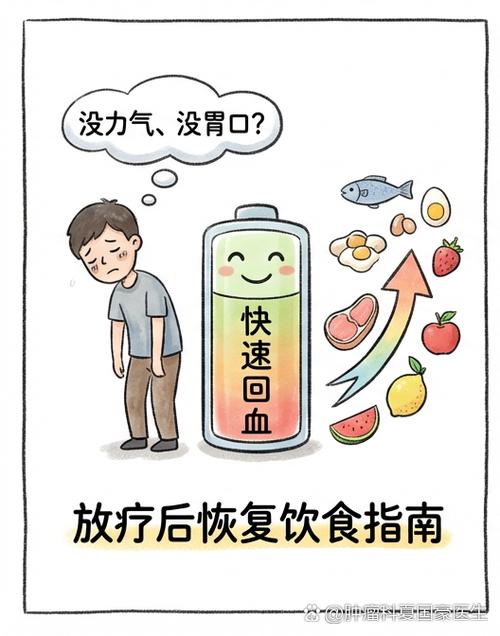 快速回血的食物有哪些