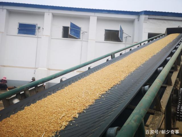 家庭粮仓怎样储存小麦