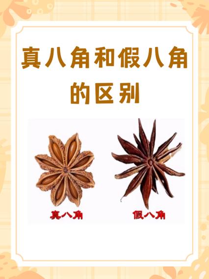如何辨别真假八角