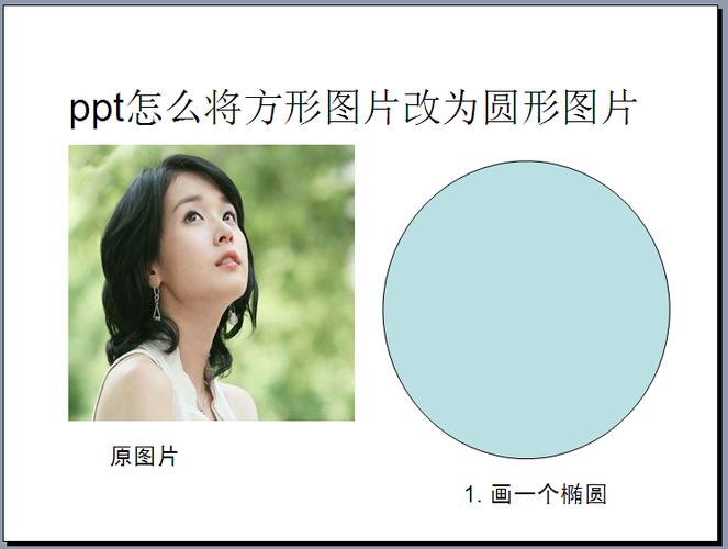 ppt方形图片变成圆形