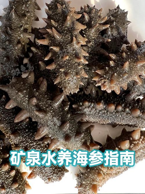 一天吃一个海参对人身体有好处吗