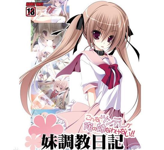 妹调手机版安装教程