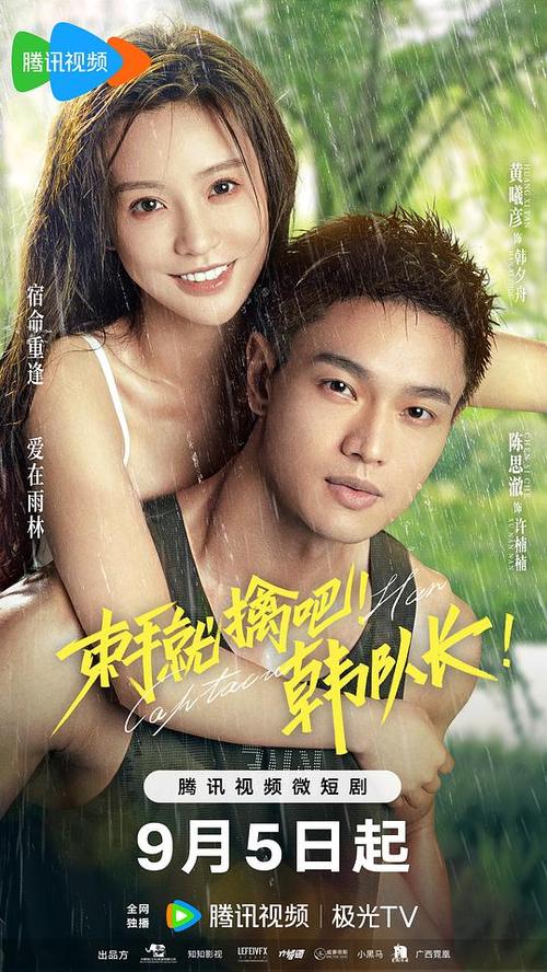 影视大全免费观看电视剧2023