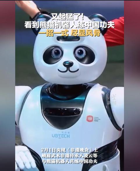 熊猫机器人都能做什么