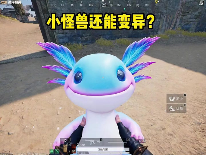 和平精英精卫直装免卡密