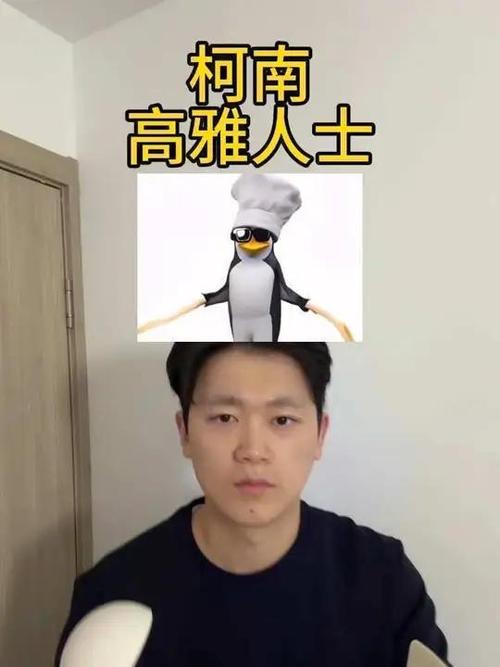 企鹅舞 高雅人士品鉴