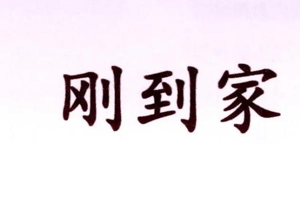 刚到家