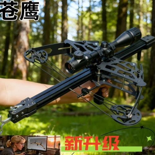 弹弓和弓箭哪个厉害