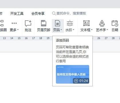 wps页码字体大小怎么设置图标