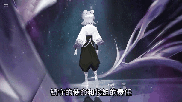 王者荣耀镜的紧身衣