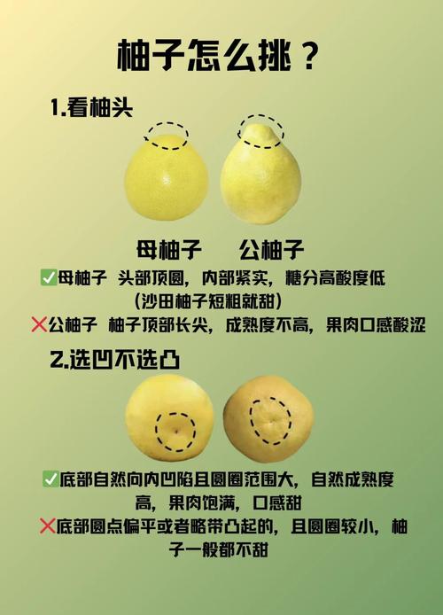 怎么辨认柚子的好坏
