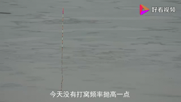 钓鱼看漂最新版本