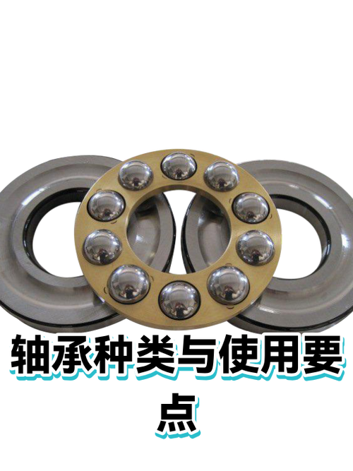 轴承表查询图标
