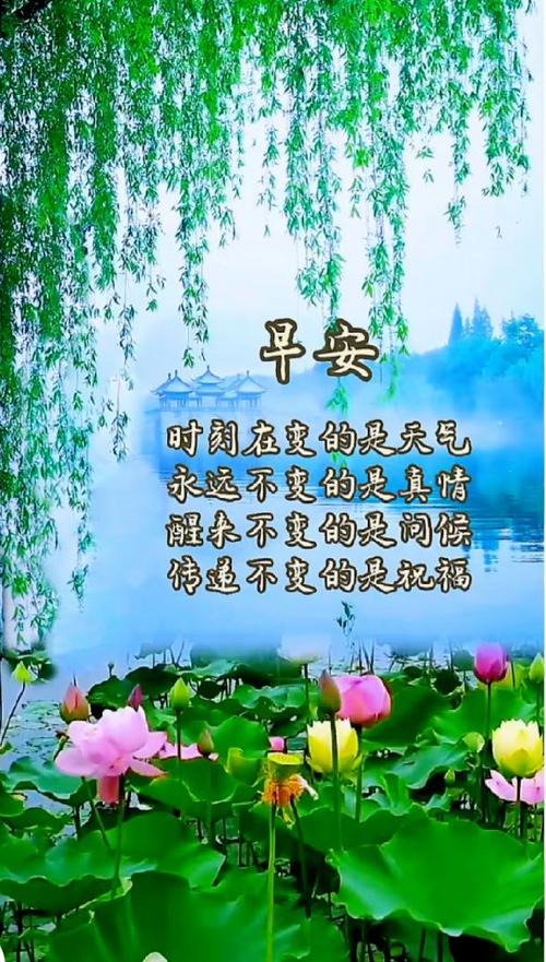 早安问候语大全 每日更新