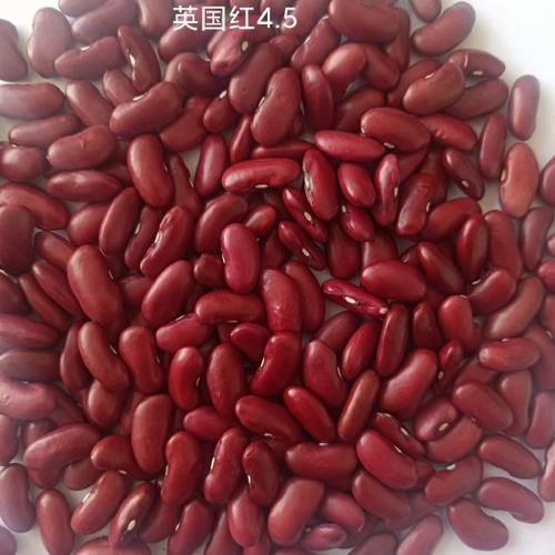 克拉克拉10000红豆多少钱
